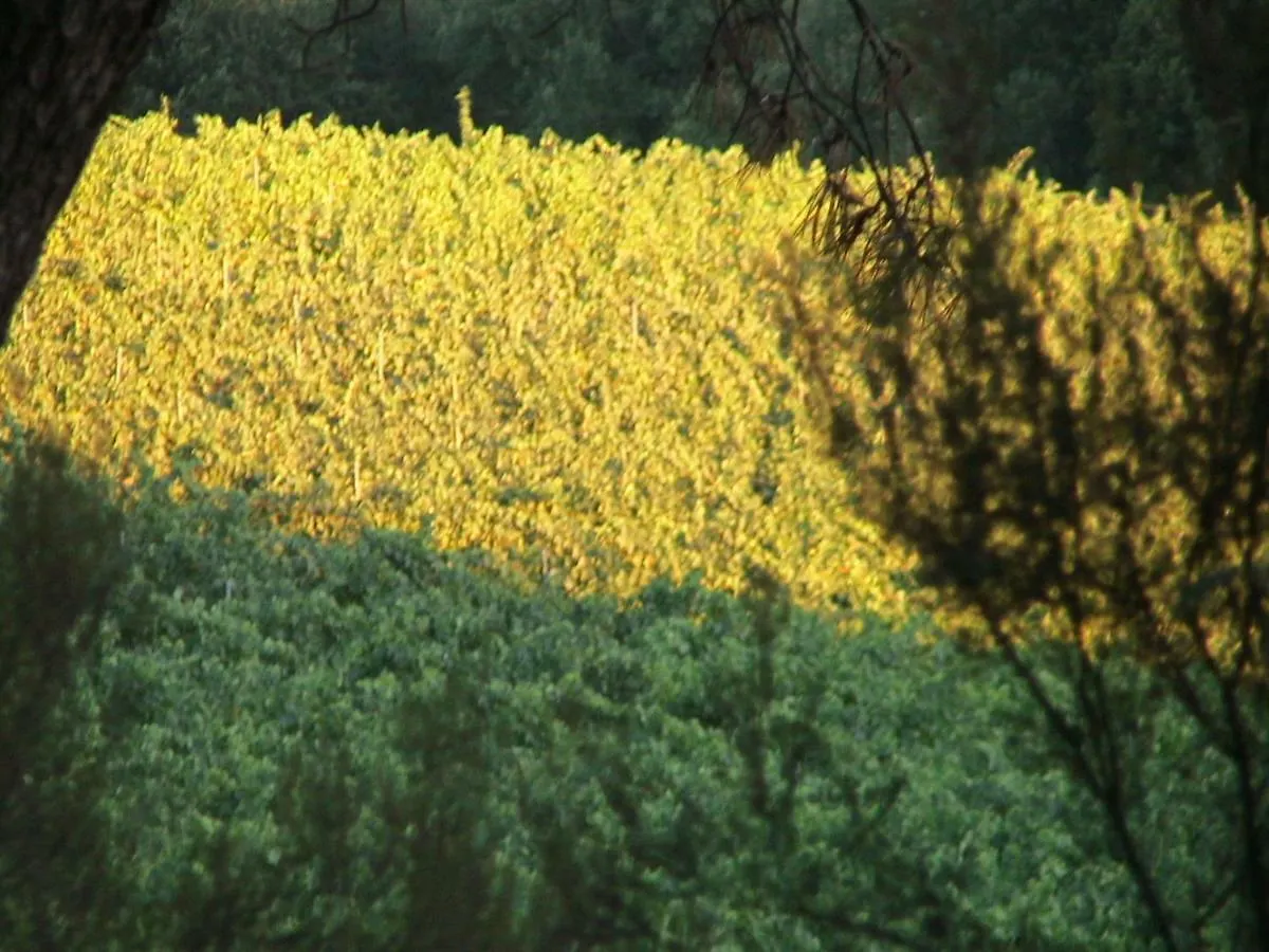 Agriturismo Campo Del Monte Campogialli