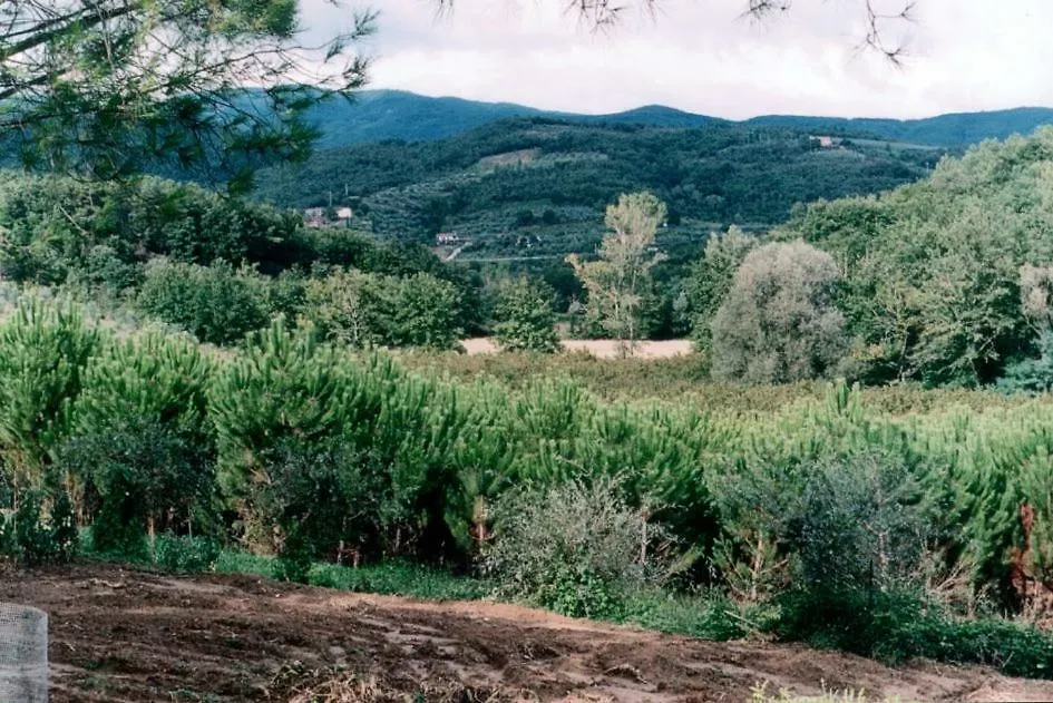 Farm stay Agriturismo Campo Del Monte Campogialli